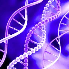 4 февраля 1944 ученые доказали, что носителем наследственной информации является ДНК.
